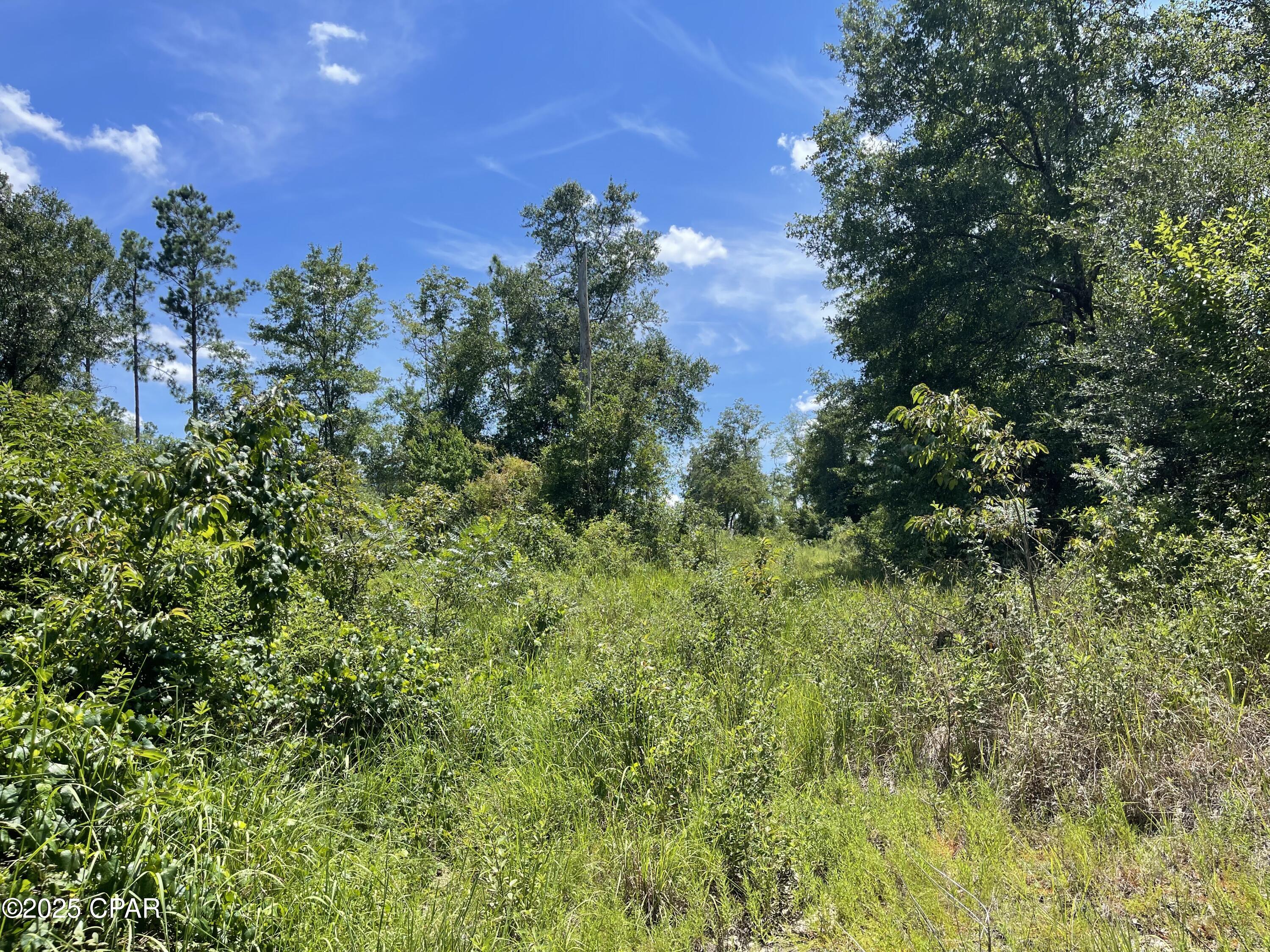 Dklelyharjnm7_d68edrd Tsa816rlky1leozz Arxk