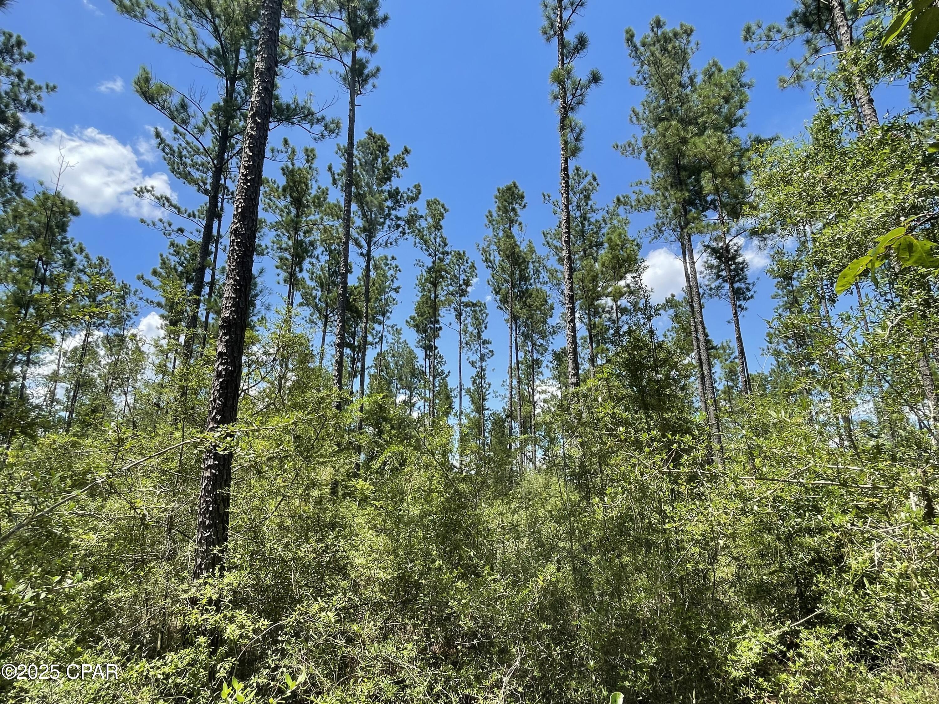 Thfzpx 0w1b48ytmj85sodt6lvjyhqlah0v7a6nkpg0