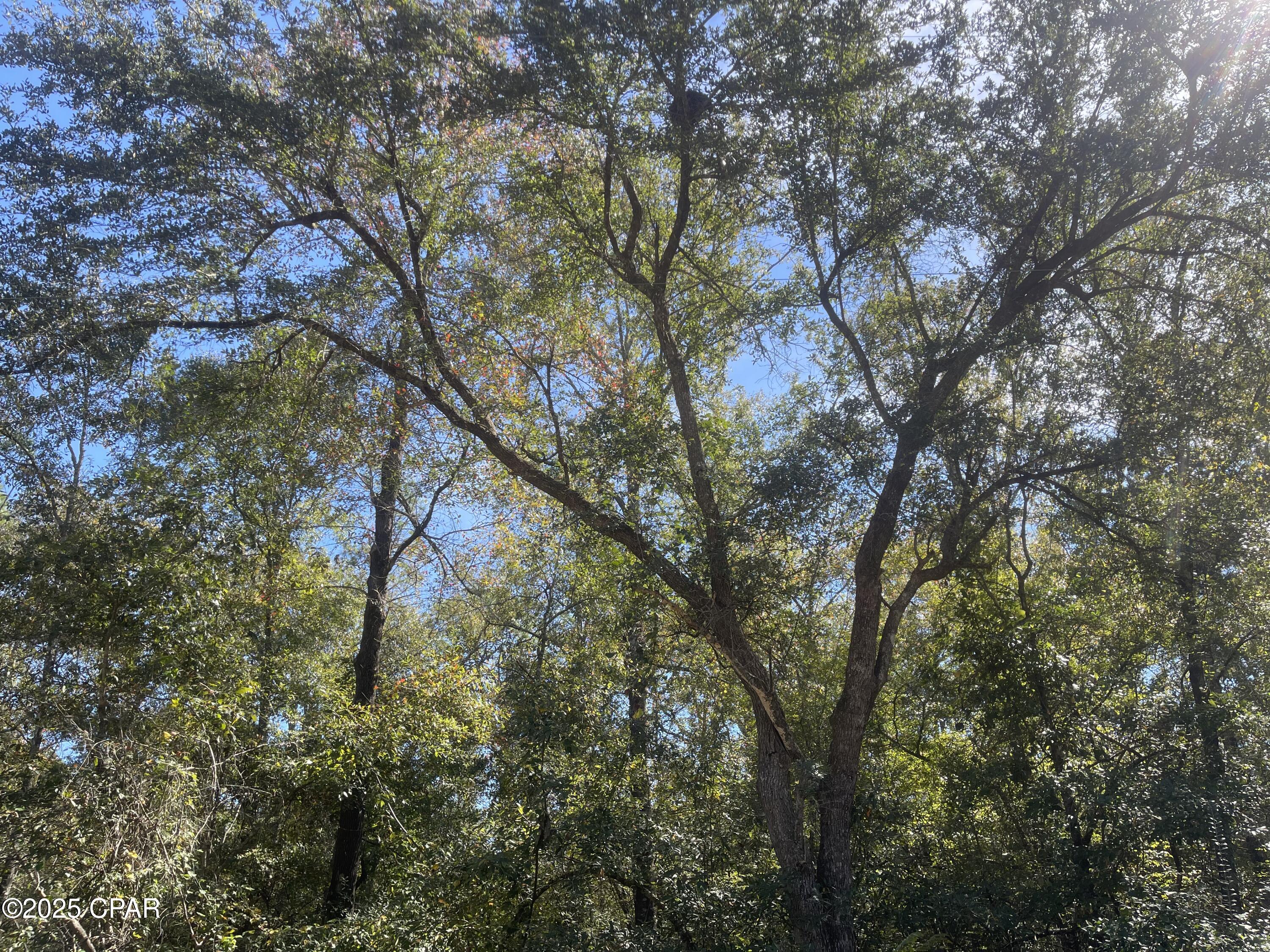 Miwmy5m62c124h37olitc6 Byqntnwaumhl2d5aexue