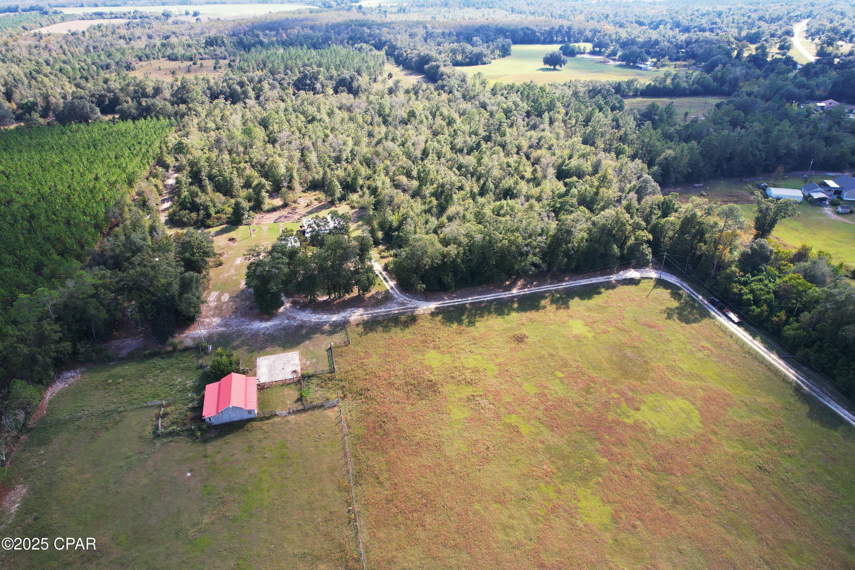 Listing photo id 19 for 6479 Blue Springs Road