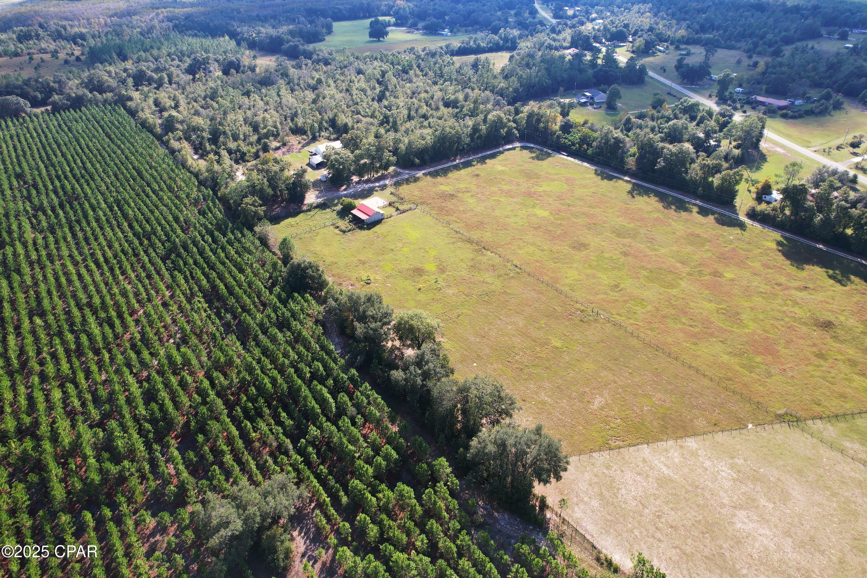 Listing photo id 5 for 6479 Blue Springs Road