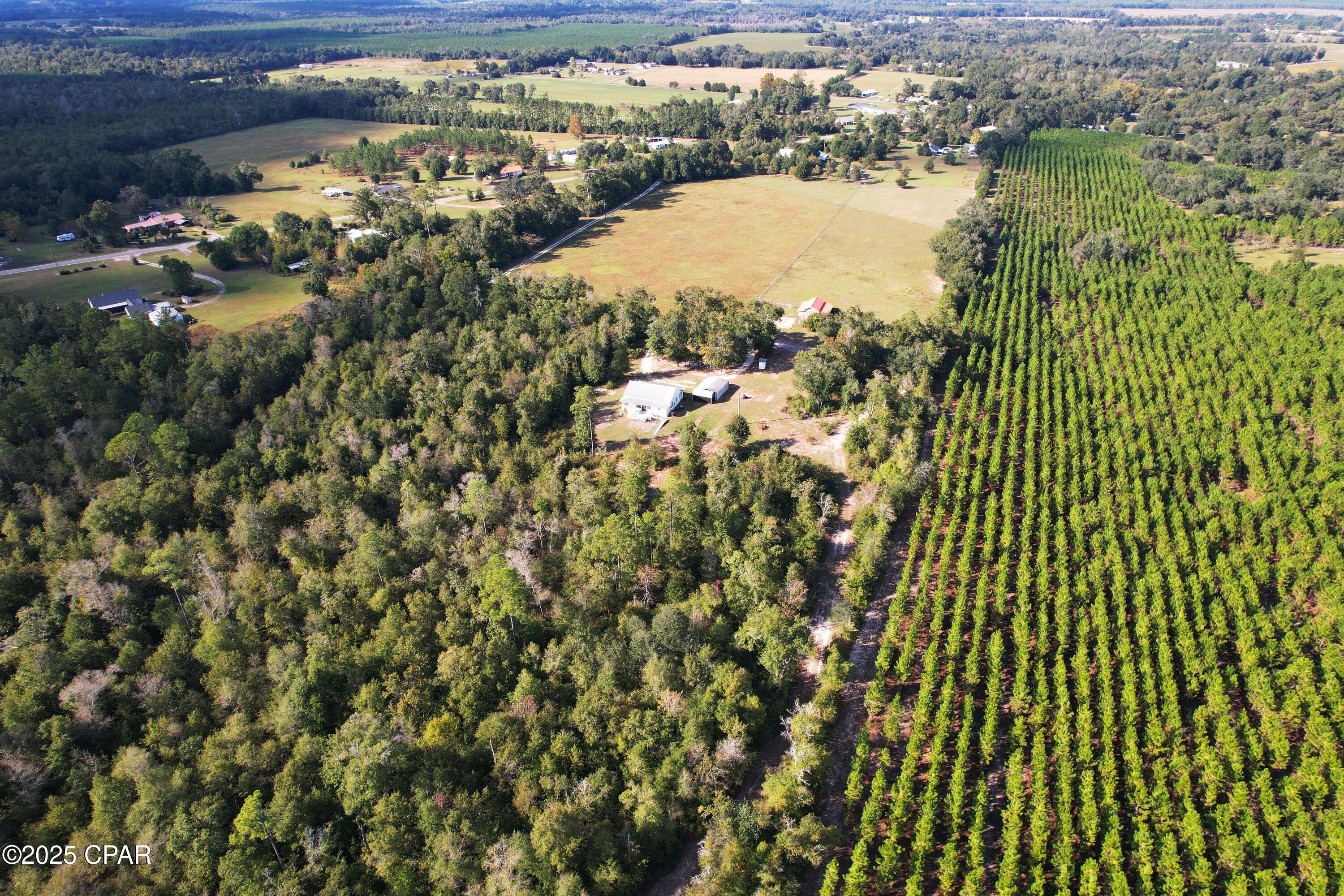 Listing photo id 6 for 6479 Blue Springs Road