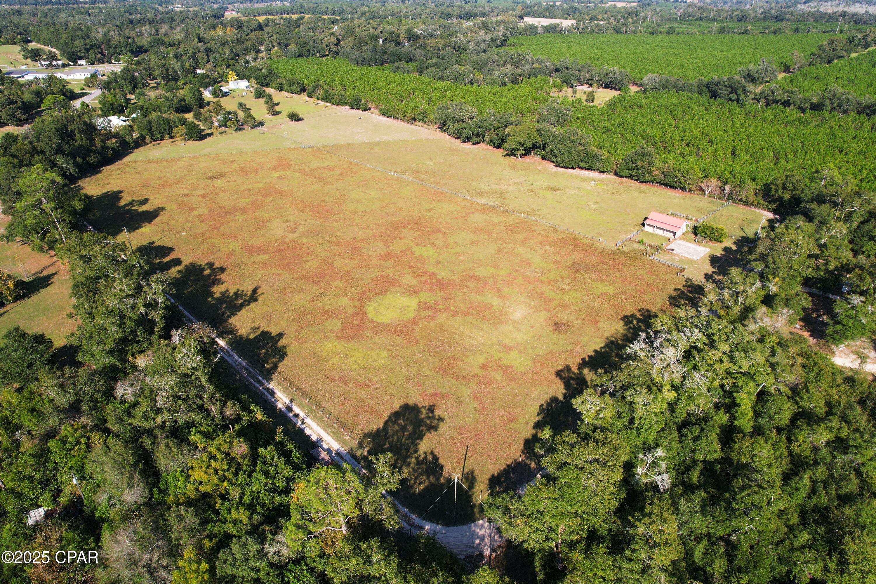 Listing photo id 7 for 6479 Blue Springs Road