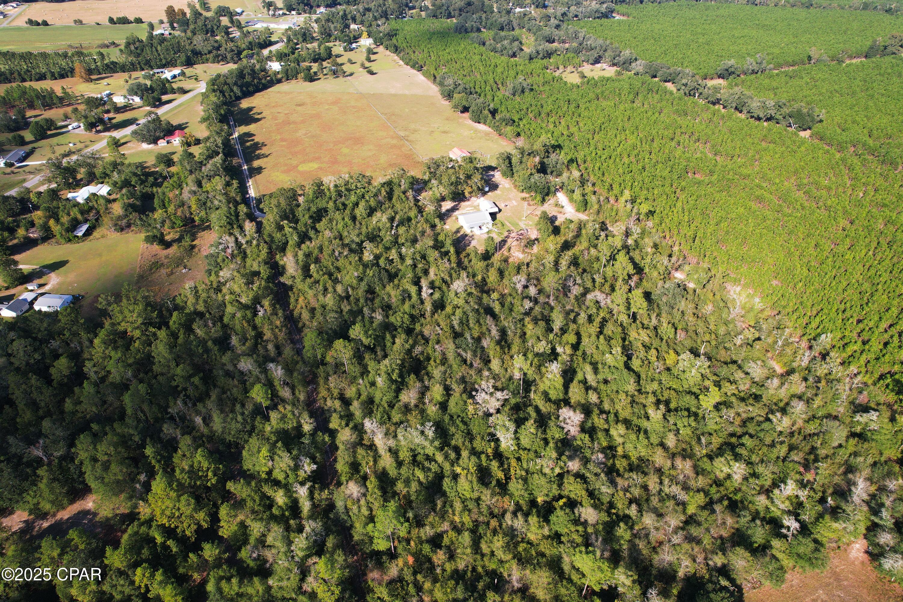 Listing photo id 8 for 6479 Blue Springs Road