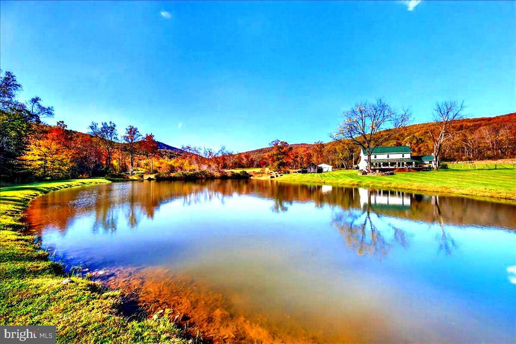 Historic Stone Farmhouse on 116.8 Acres of Rolling Virginia Countryside is available for the first time in nearly a century! Tucked quietly into the foothills of Huntly, Virginia, where creeks weave through open meadows and mist settles gently over the Blue Ridge, stands a home that feels timeless. Built in 1720, the stone farmhouse at 290 Riley Hollow Road has watched centuries pass, yet it still radiates the same strength, warmth, and grace that have anchored it for generations. The current owners have lovingly and meticulously renewed and restored this home and the accoutrements of the land, honoring its heritage while crafting it for todays modern lifestyle. The main level has been reimagined ”” all new flooring stretches through the living spaces, a beautiful enclosed sunroom and large deck have been added to the rear of the property enveloping the endless views. In the kitchen, quartz countertops gleam beside bar counter seating and a custom moveable island, designed from an original 1800s farm table and topped with black walnut milled from a fallen tree on the property ”” a piece of history reborn and returned home. Throughout the farmhouse, hand-hewn beams, exposed stone walls, and original woodwork tell stories of another