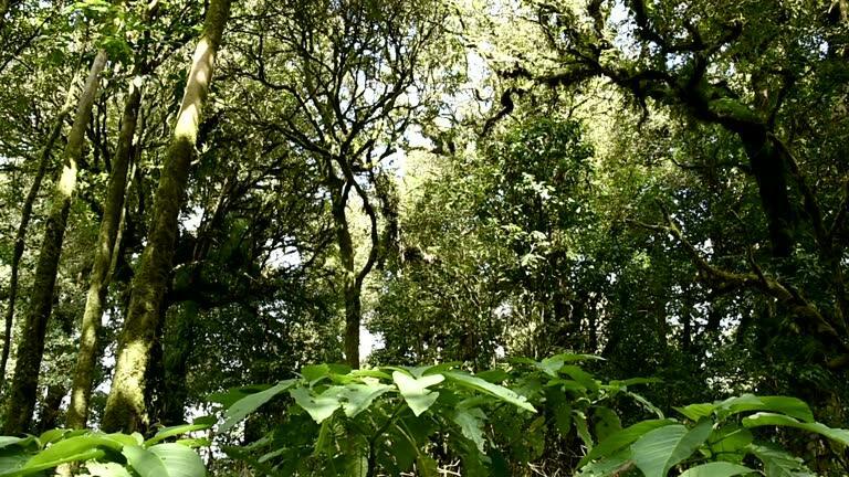 Port St Lucie Section 44