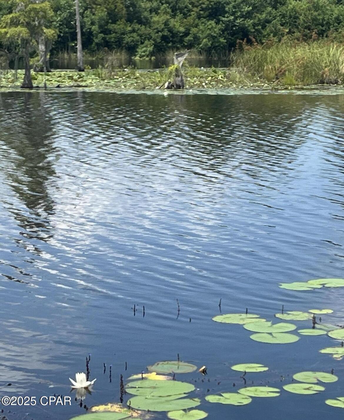 G_o7dmbbbonnpaqxpns1napbsy44bjculyhog Cz1rs