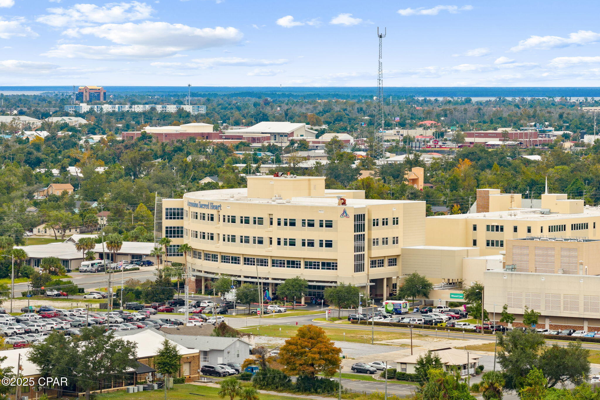 Image 52 For 313 Macarthur Avenue