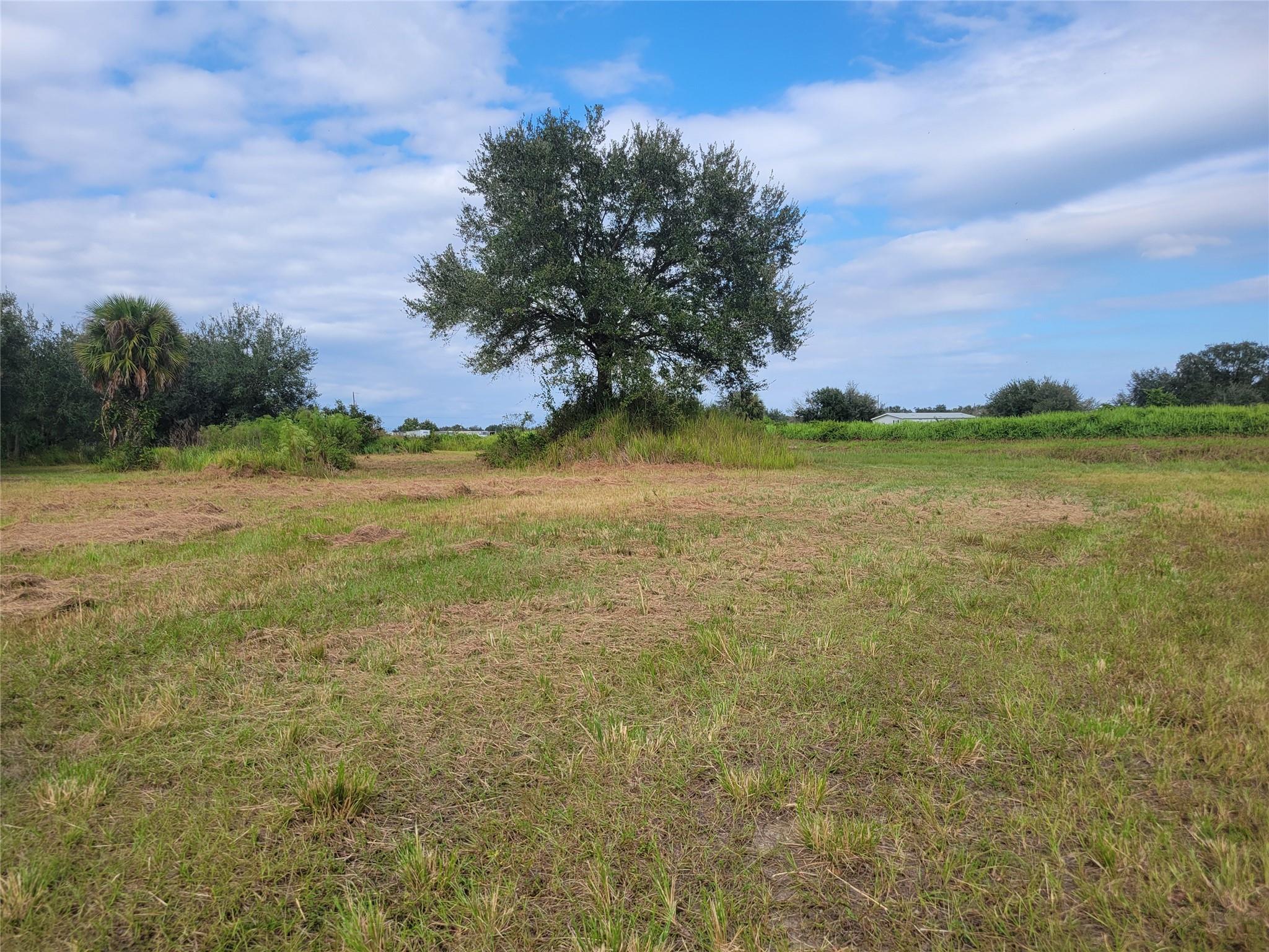 Southern Colonazation