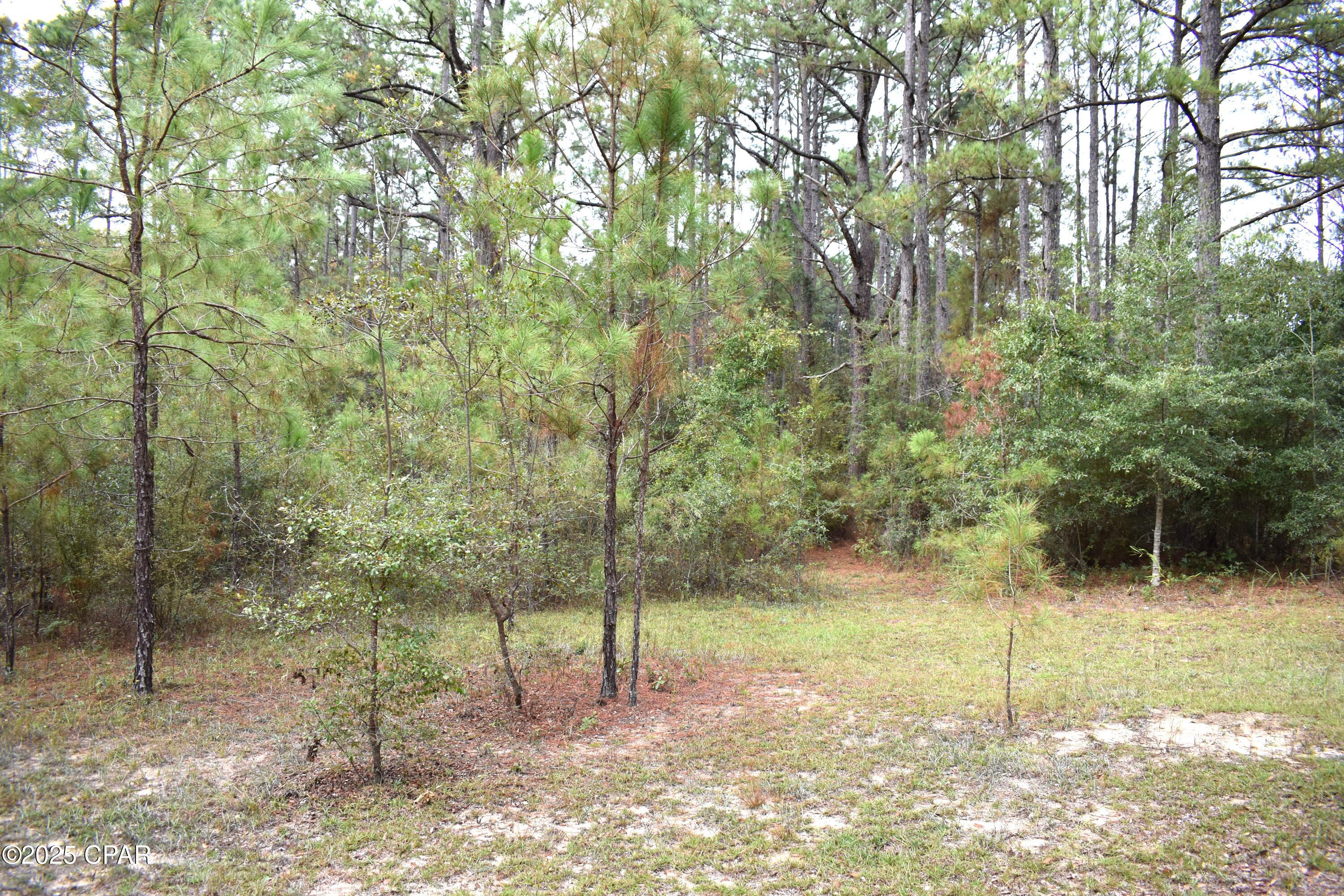 Cdymyhaakdjwveoomm8zb_2ovrb3emi Inl4x1klfbw