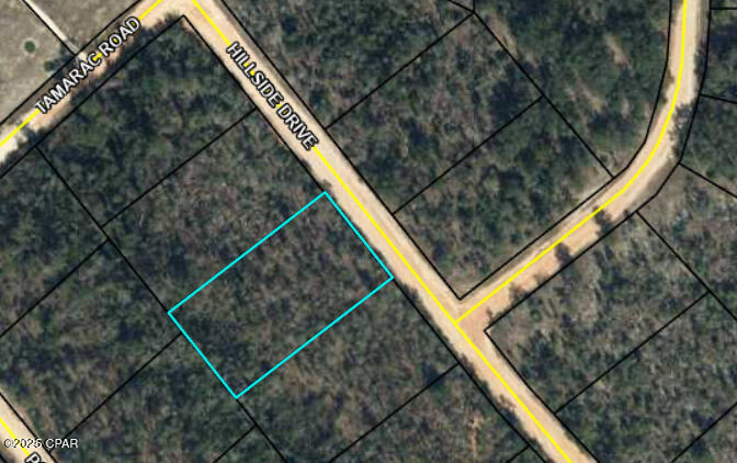 Listing Details for Tbd Hillside Drive, Marianna, FL 32448