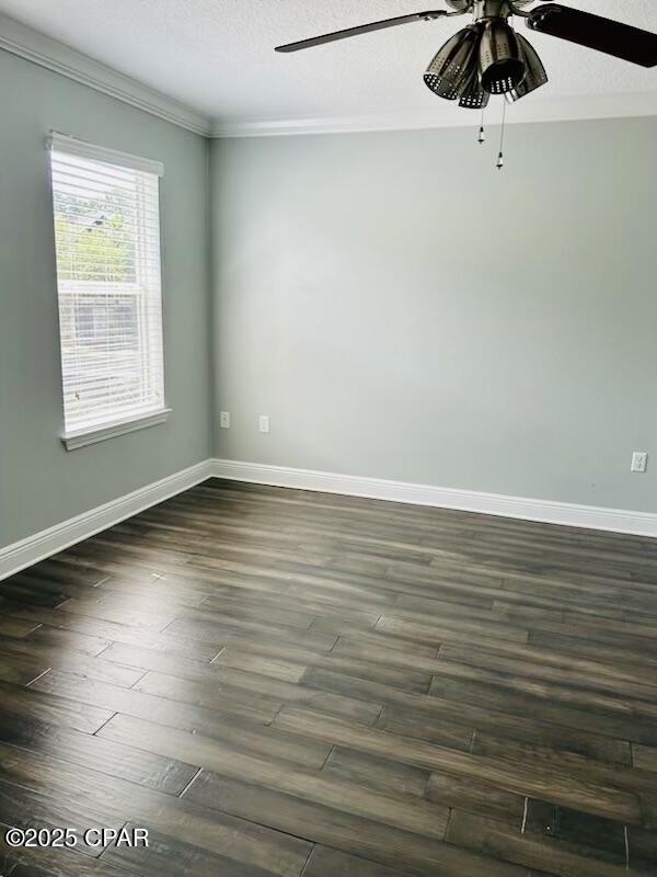 Image 9 For 335 Madison Circle