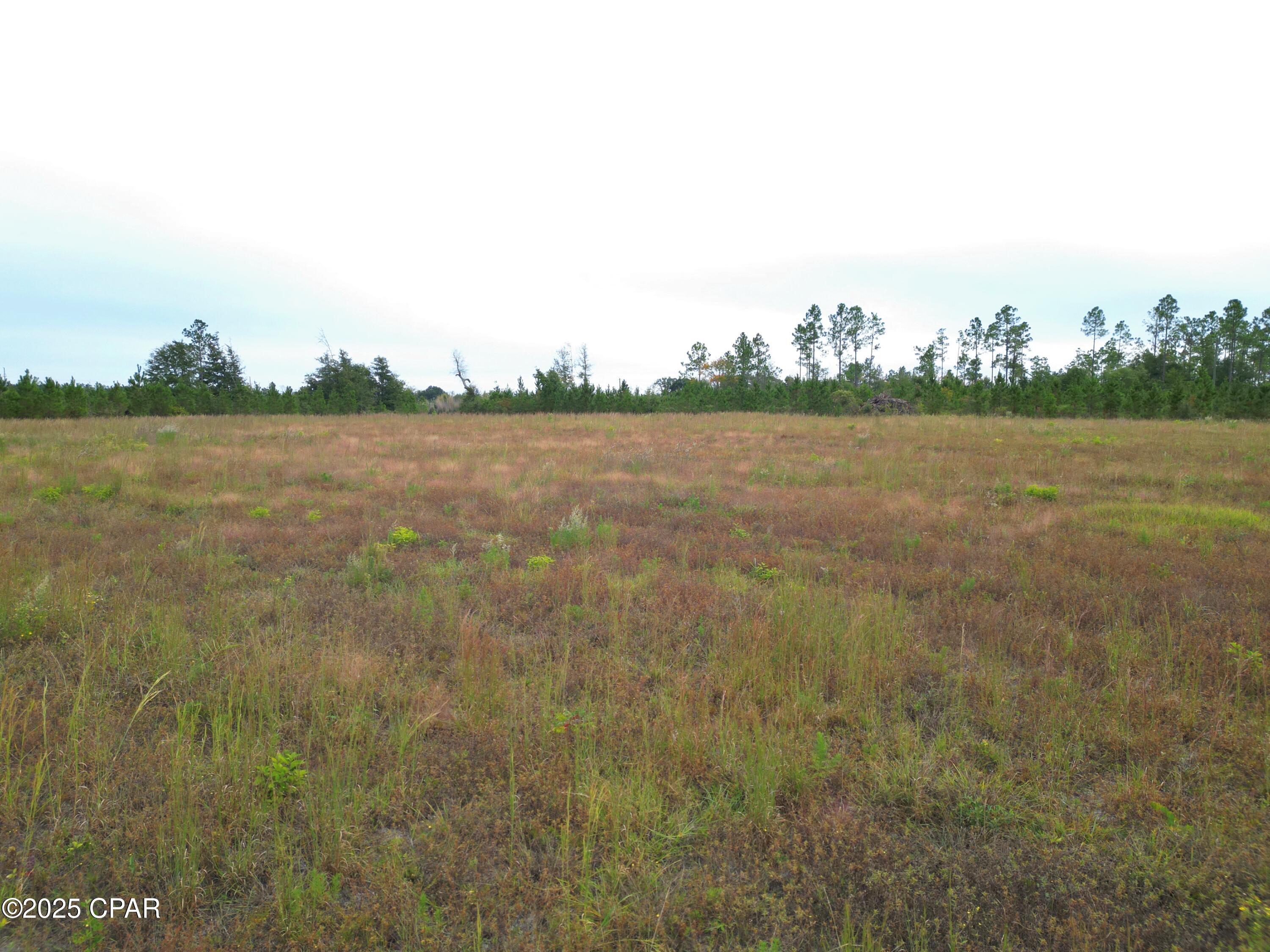 Details for 00 Glenmore Court, Marianna, FL 32446