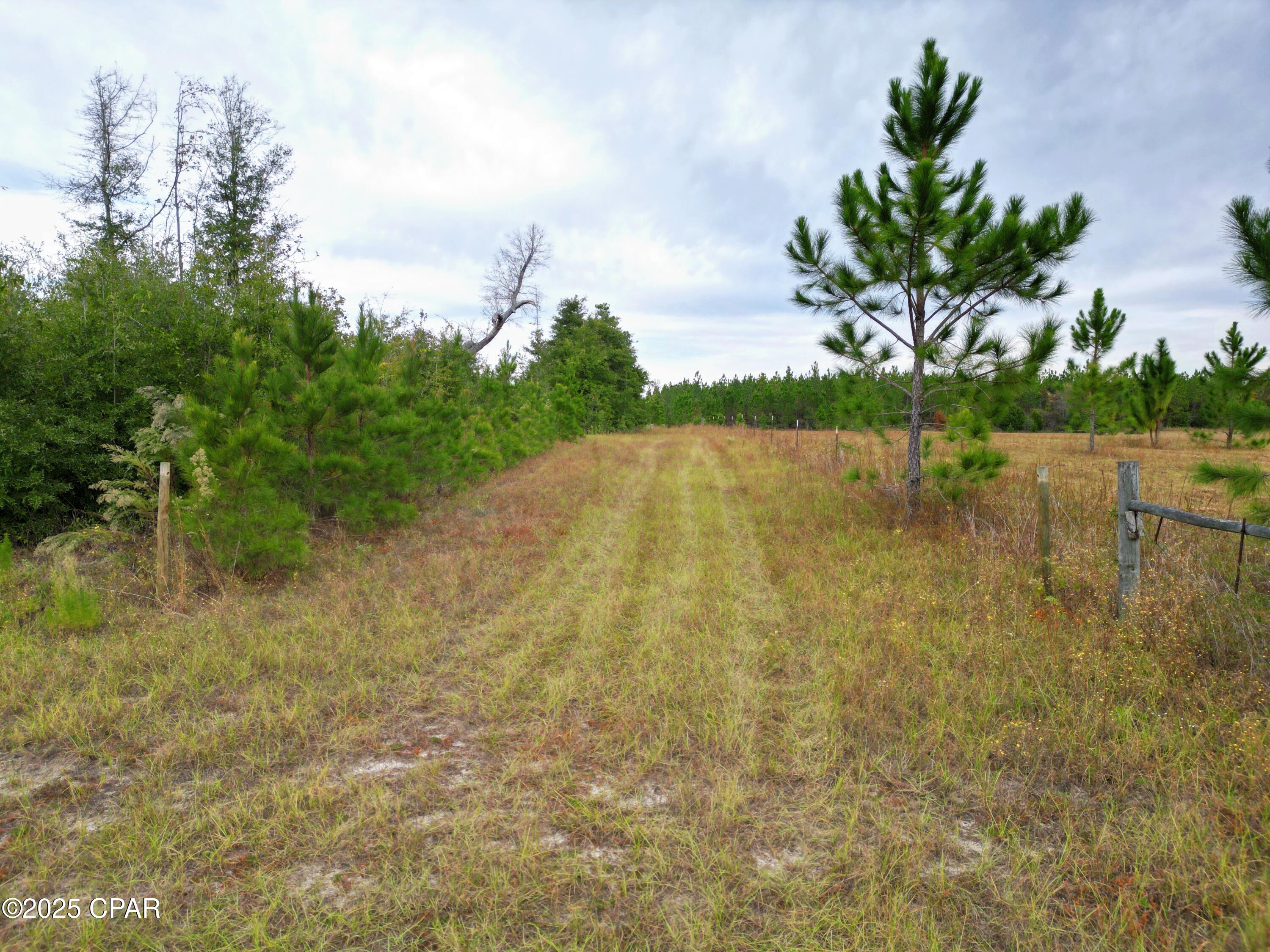 Image 5 For 00 Glenmore Court