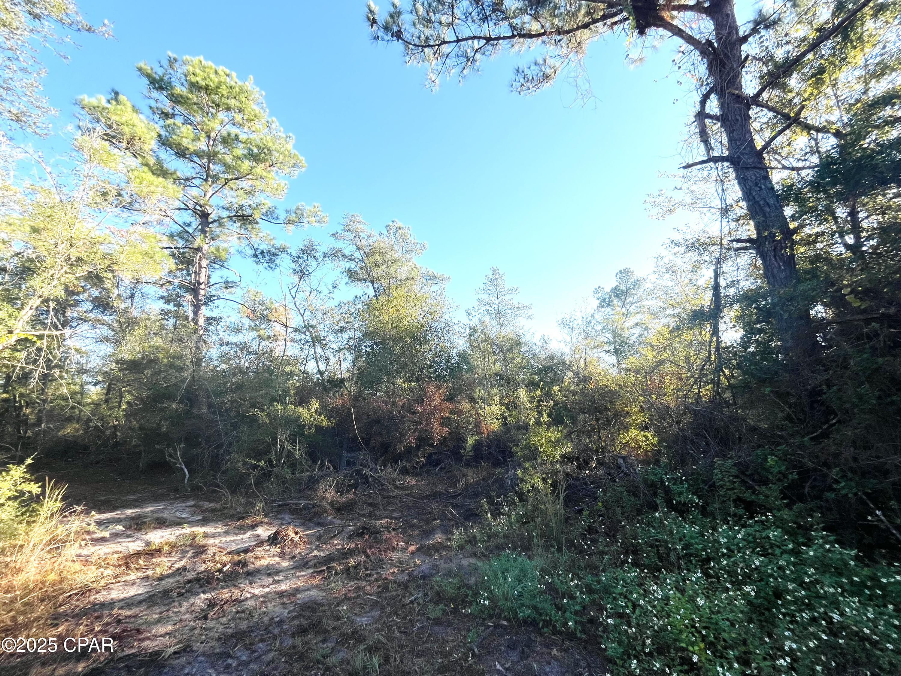 Vylyzev Fap9qbfv7uyckfkiytqzziwqfmrzto Dpq8