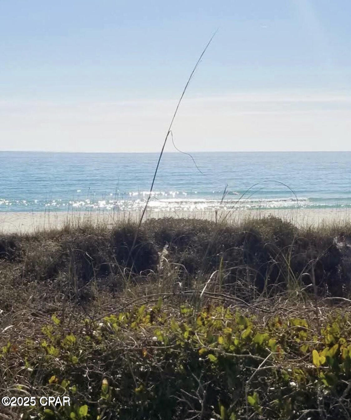 Image 45 For 520 Richard Jackson Boulevard 3308