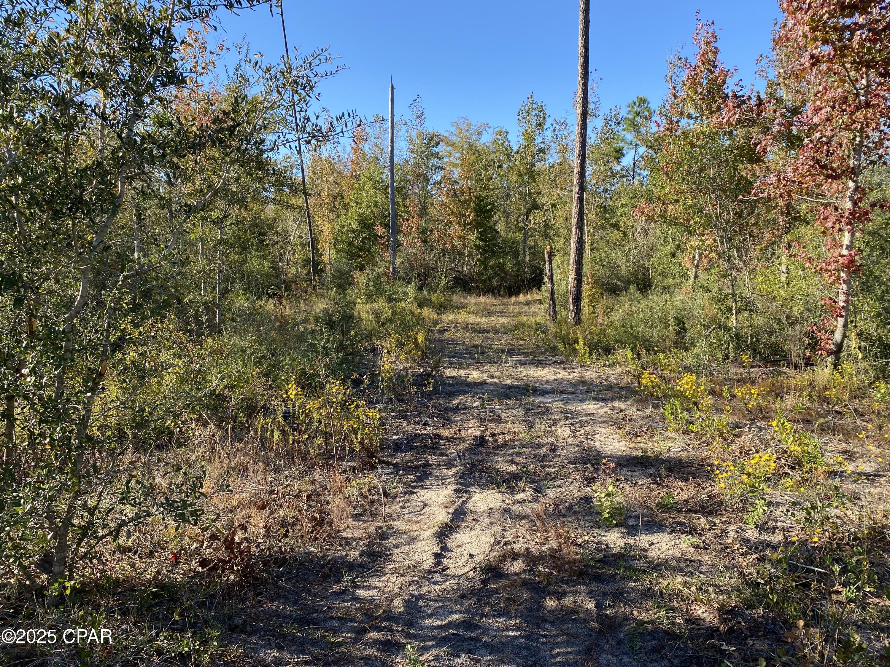 Image 12 For 7939 John Pitts Road