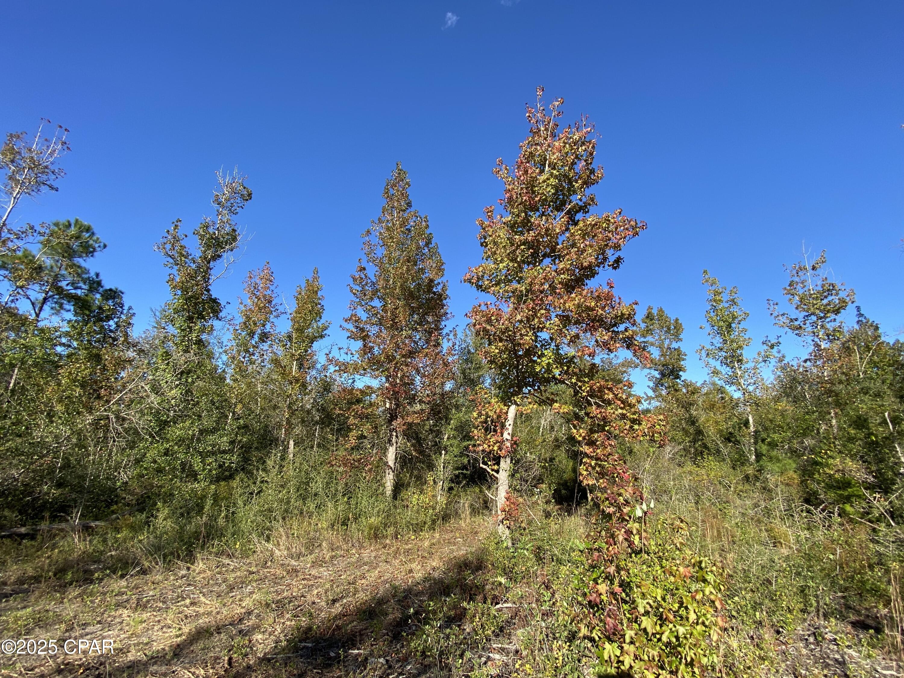 Image 13 For 7939 John Pitts Road