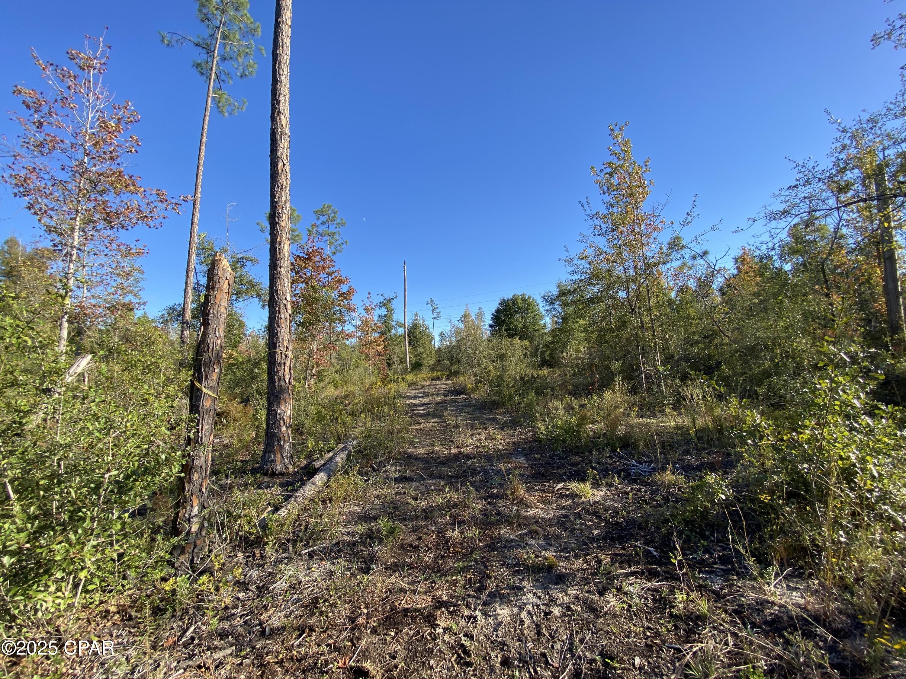 Image 14 For 7939 John Pitts Road