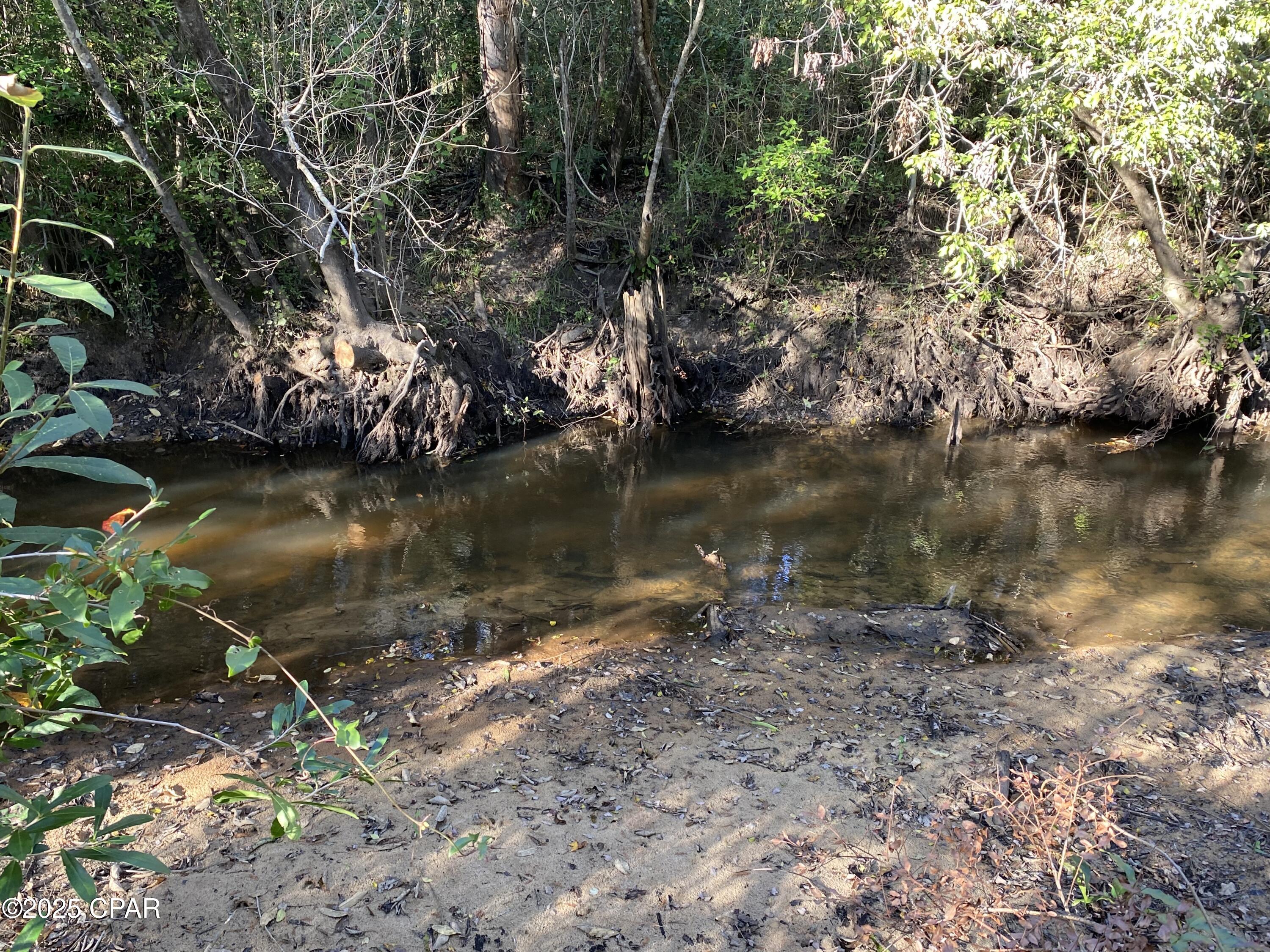 Image 16 For 7939 John Pitts Road