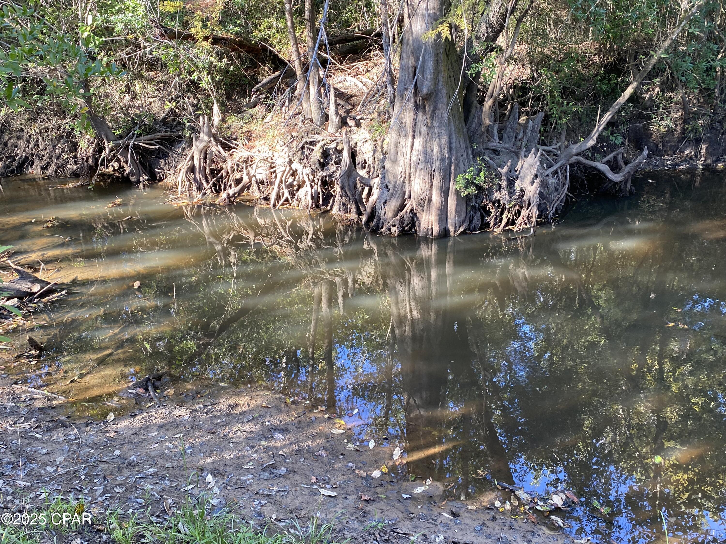 Image 17 For 7939 John Pitts Road