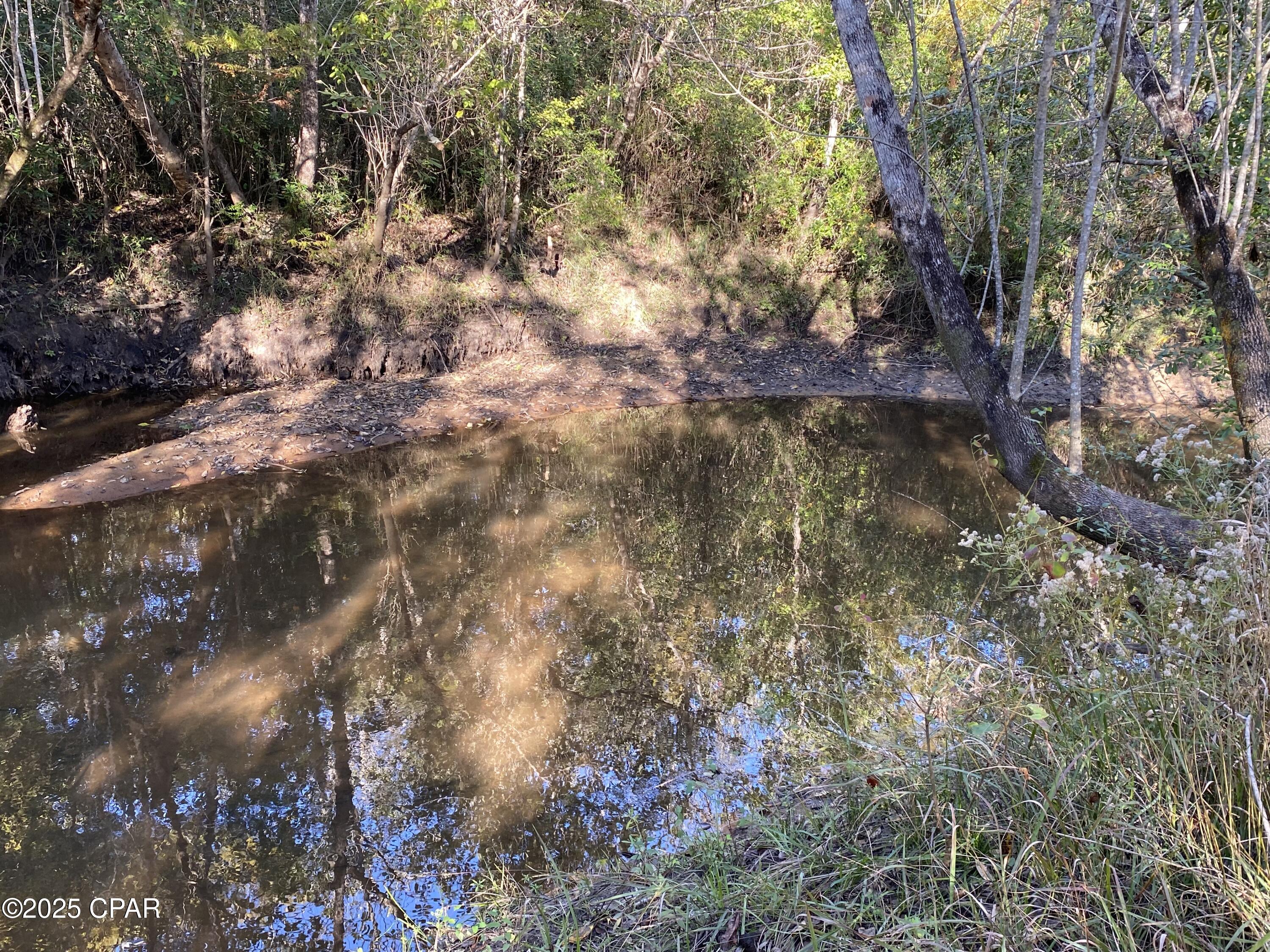 Image 18 For 7939 John Pitts Road