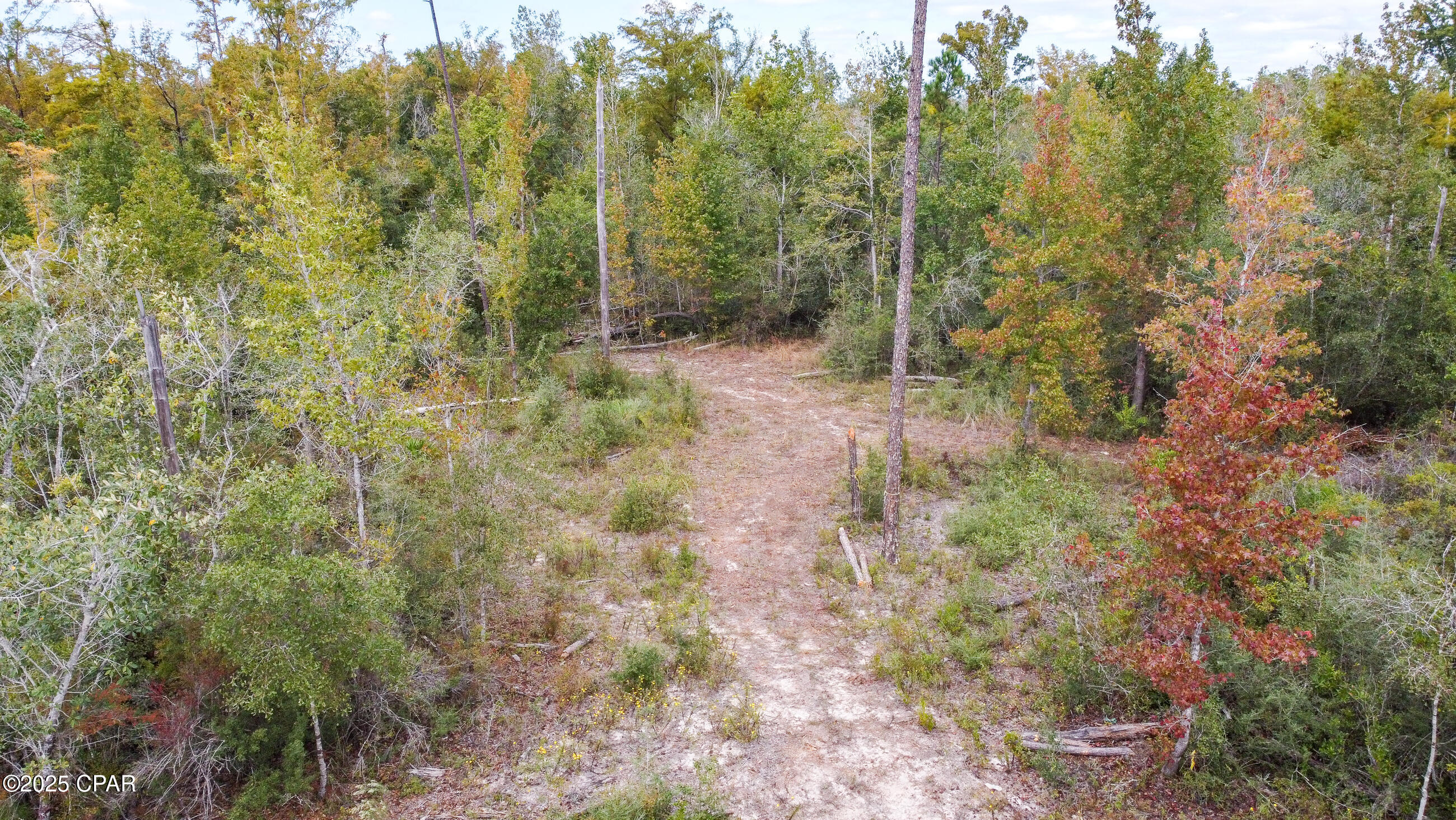 Image 8 For 7939 John Pitts Road