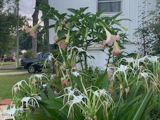 Uio0ahsvgpnmwnorqw9hxrxah92gcjb54etd1xftca4