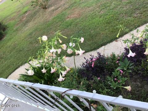 Qxbv9jvdtg0jmvtnh2tdigreanquihh_exuyhnl4nfe