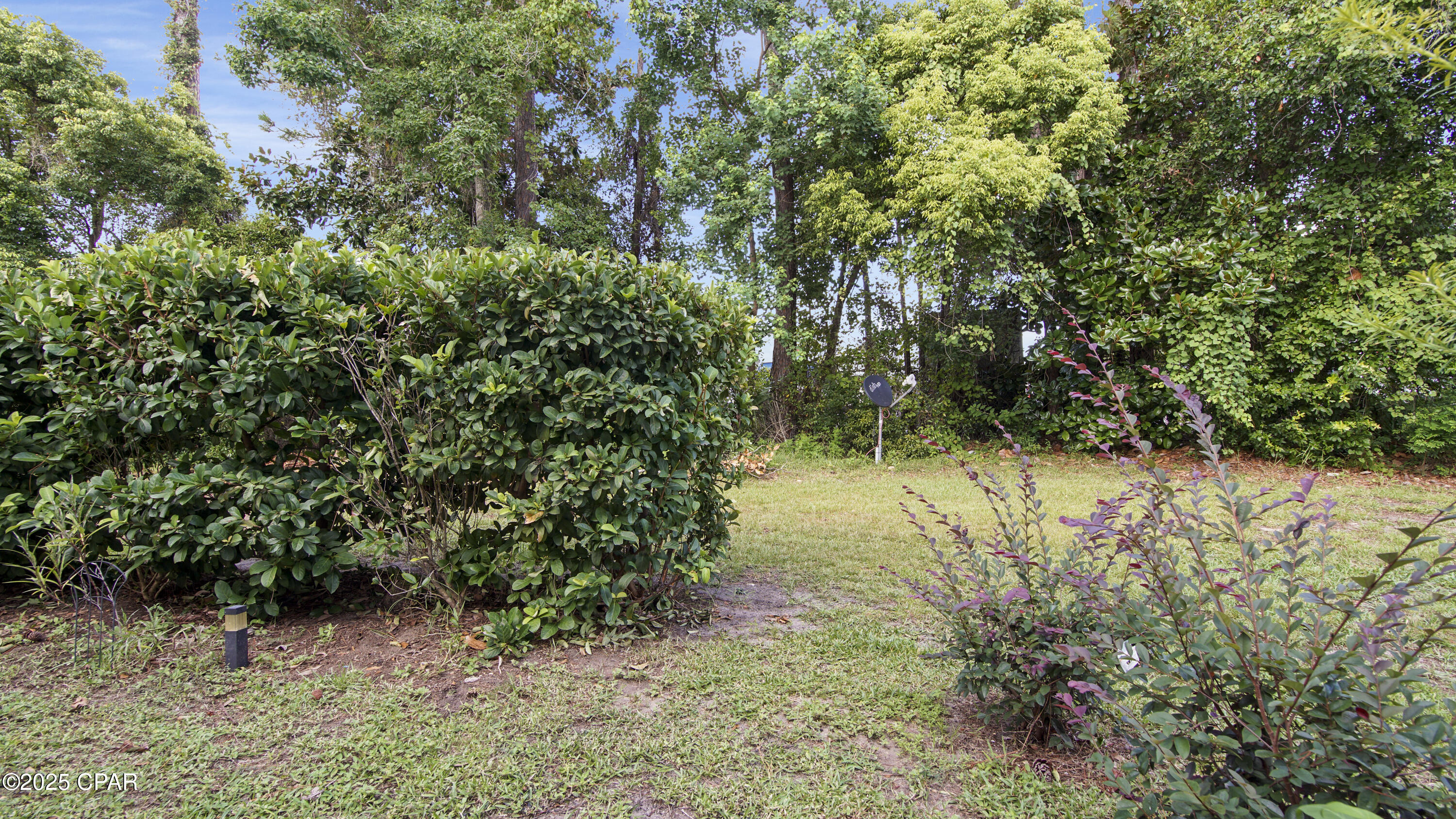 Cfpta25 Cwh7mwqrvgi1293orar697 Cf2ox0wi89y0