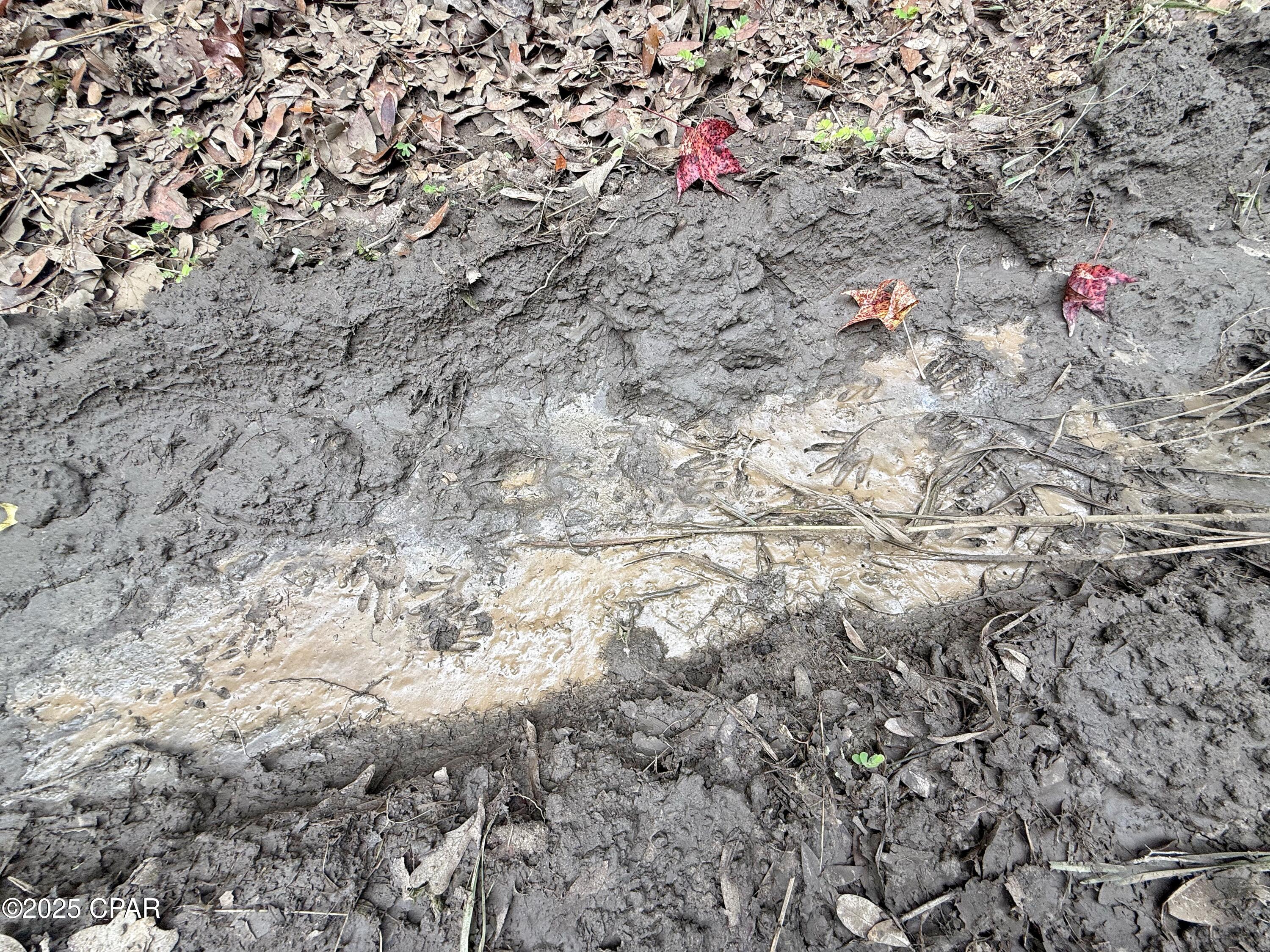 Phcu_mtk2x5a9zj61sem6cc0v4qfoj 1az9fbk9cyfg