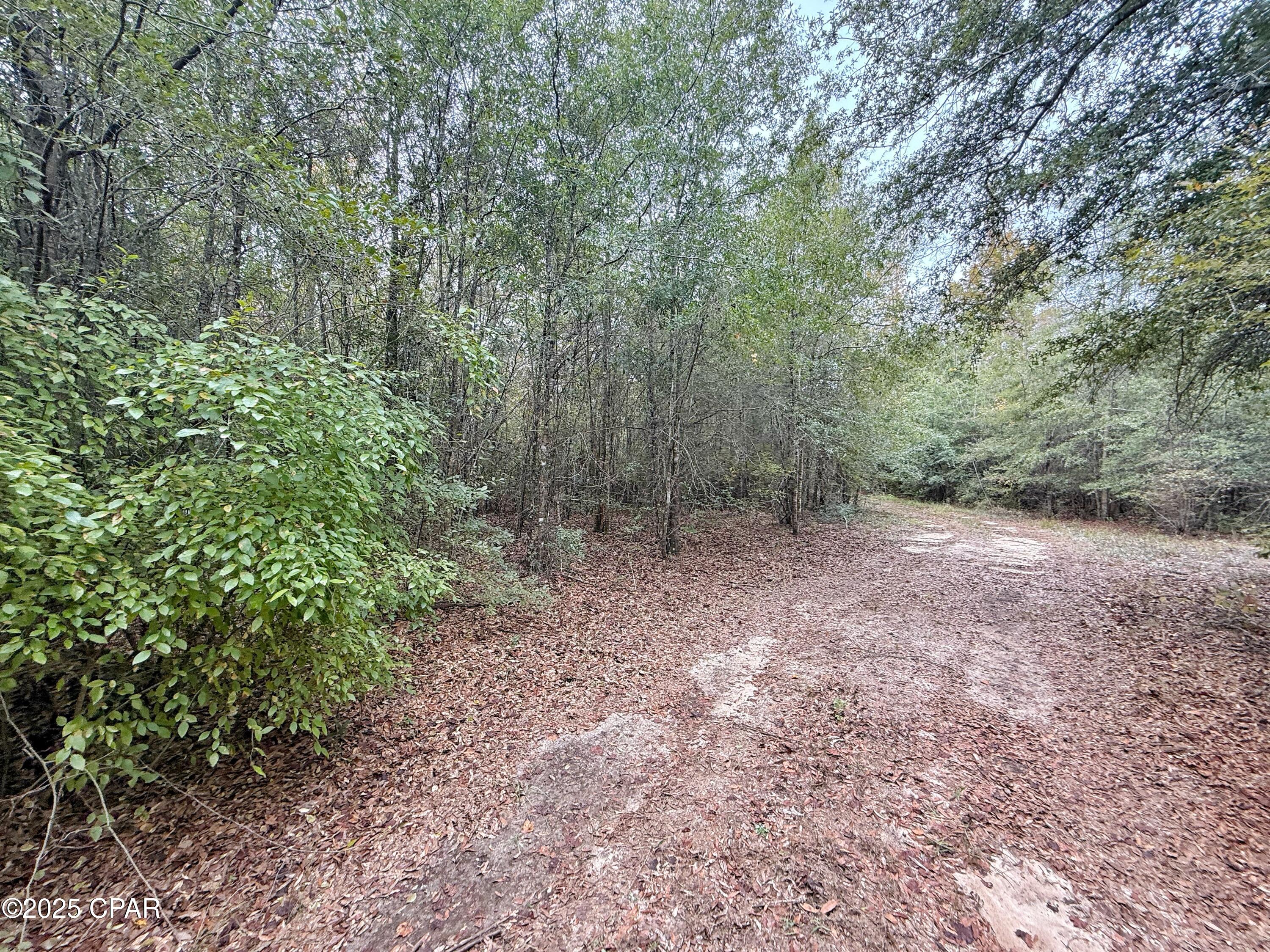 Qbmr0vfitcqu8yhp9shoa2d2pvvqkfnmskp4ym5ltok