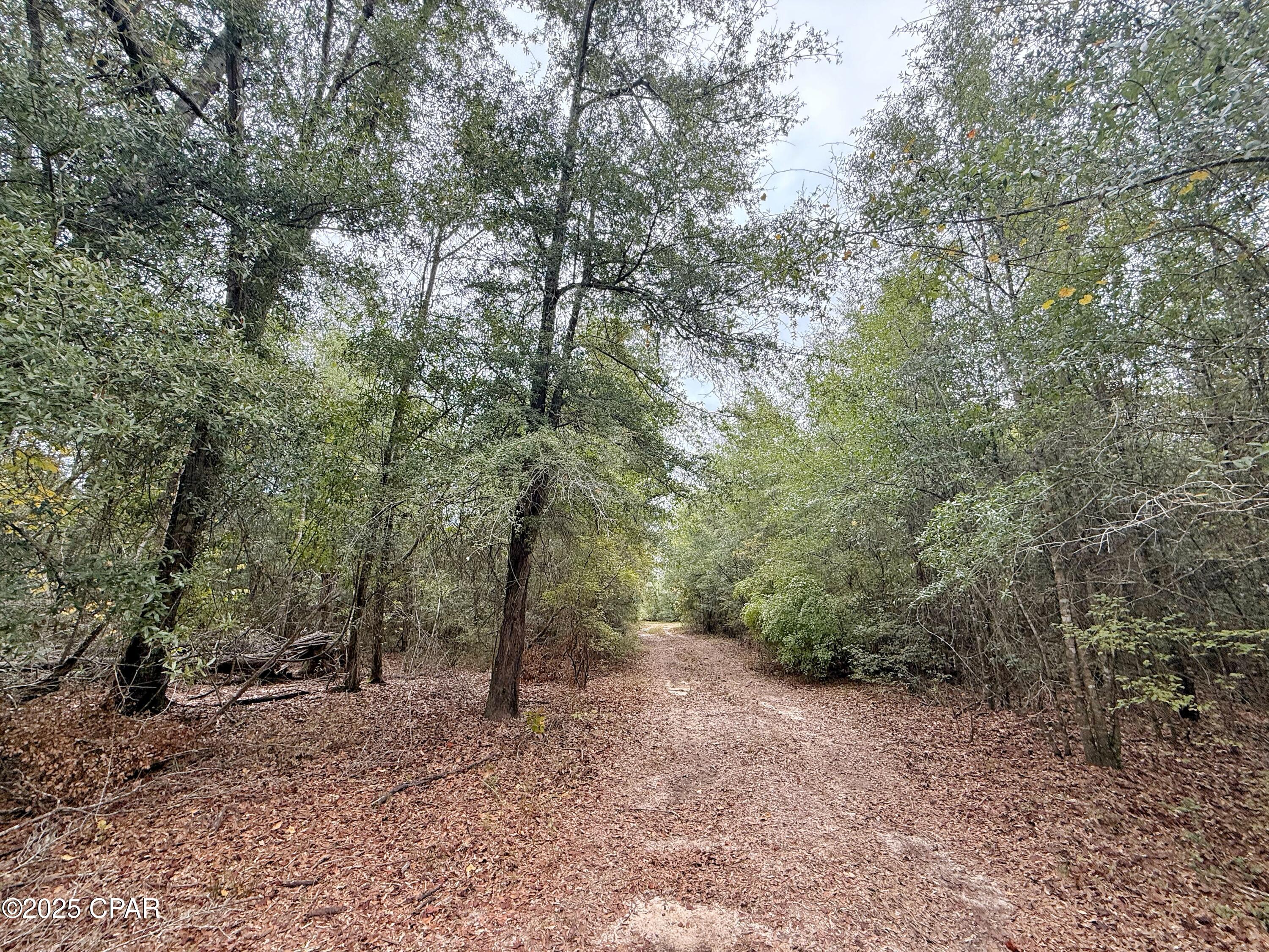 Gccs4lqmy Osfbkavcvzhosc6fveefa9eaeecly0esm