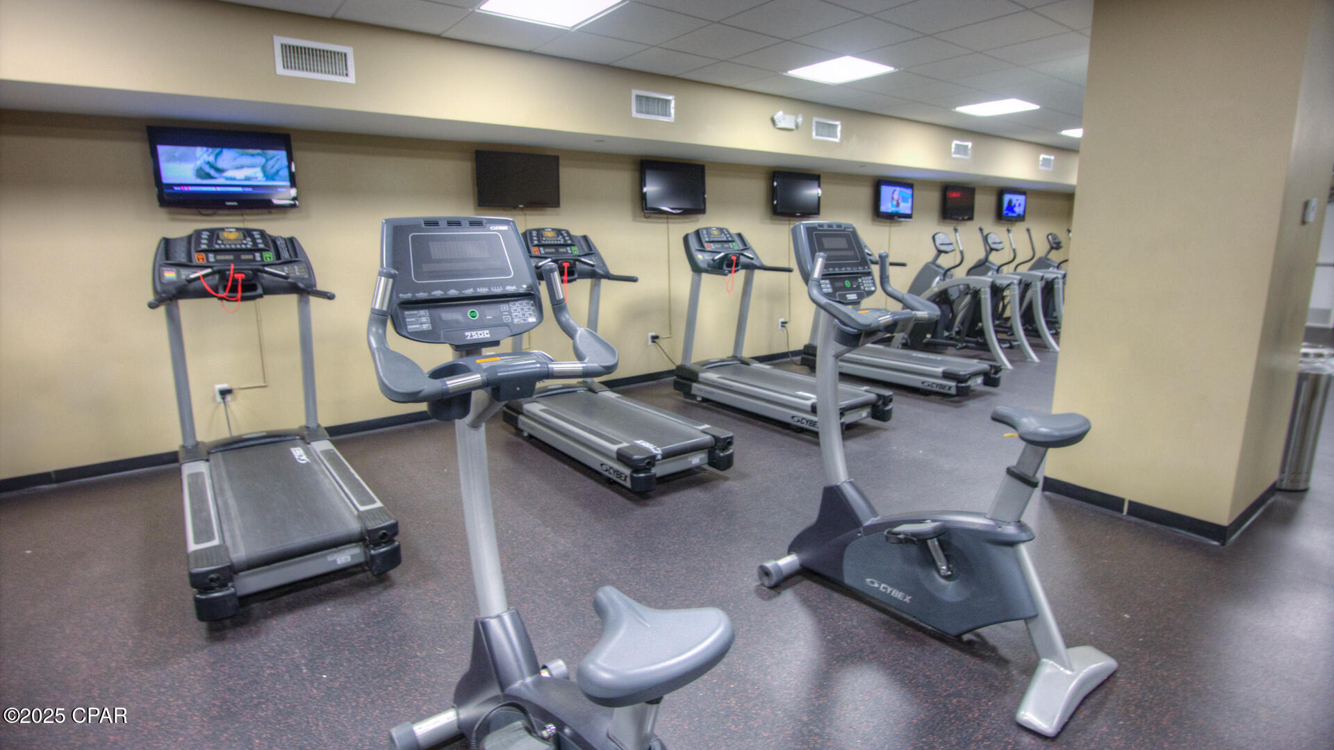 Cs_oahoml19cmyimtunobw4dwapbdfuczl Ursgwmw8