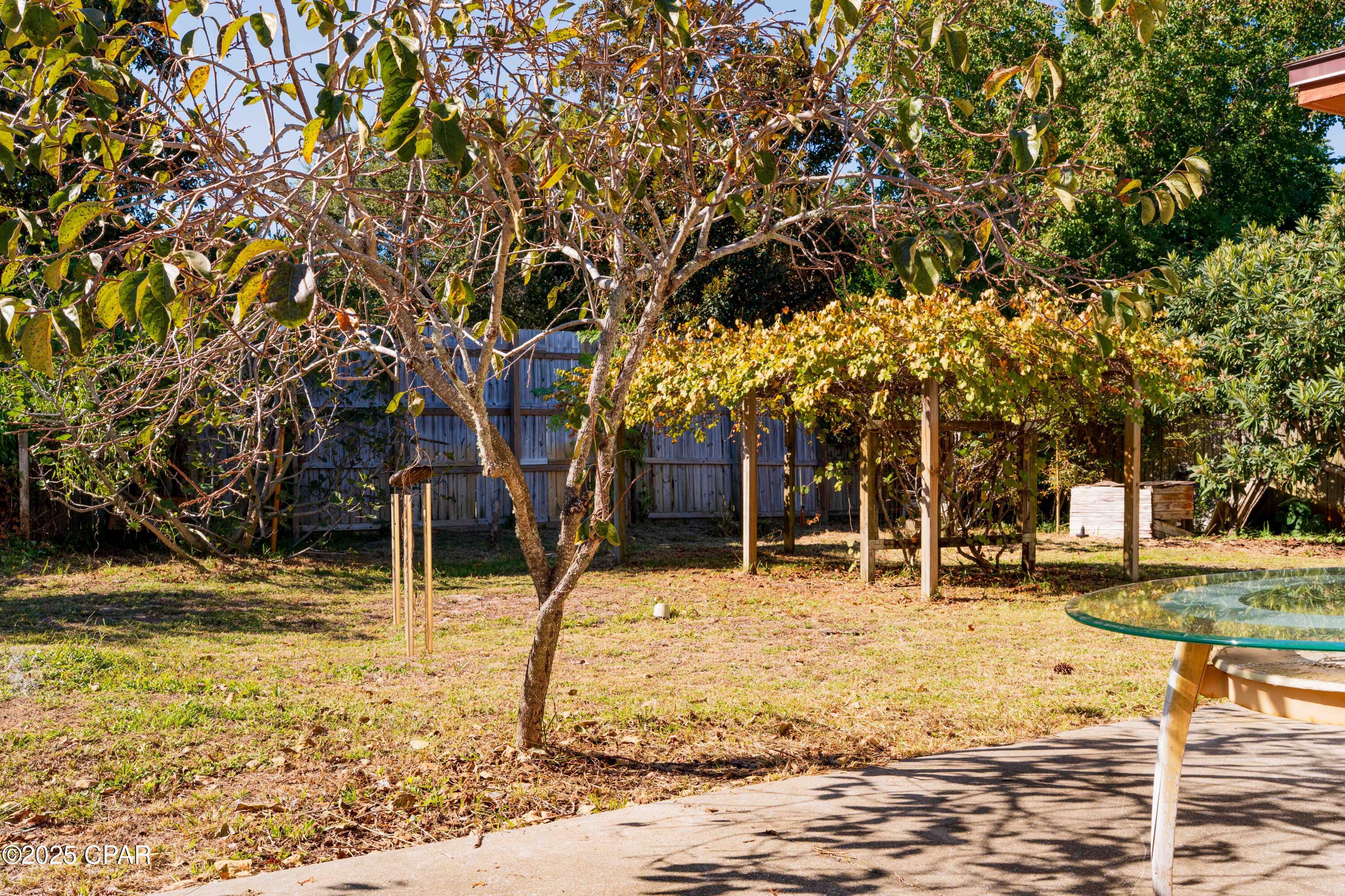 5drwrd5oq7v Bx109x2uicejeb2x3wk79tjvv2dt_98