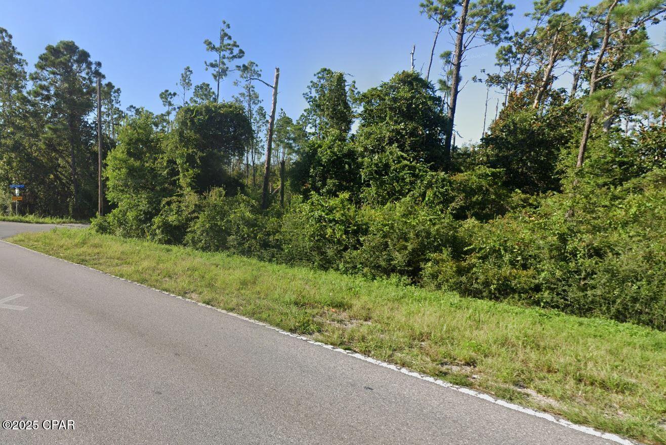 Listing photo id 2 for 00 Harlan Shope Road