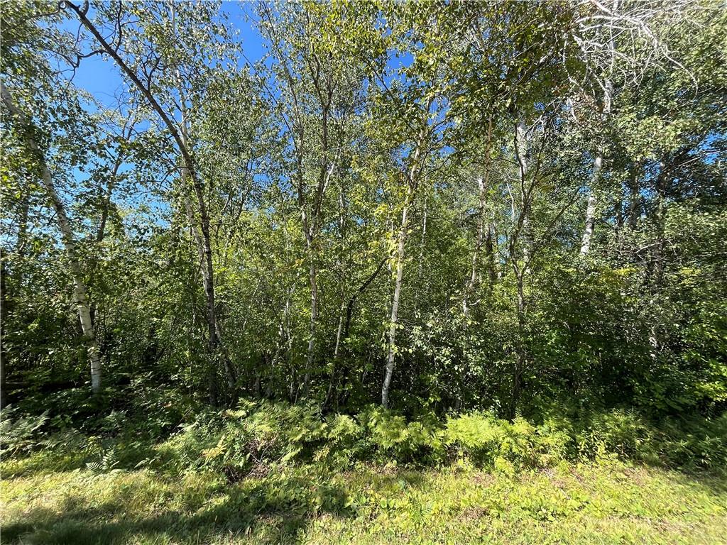 Lot 24 28 11/16th Street, Birchwood, WI