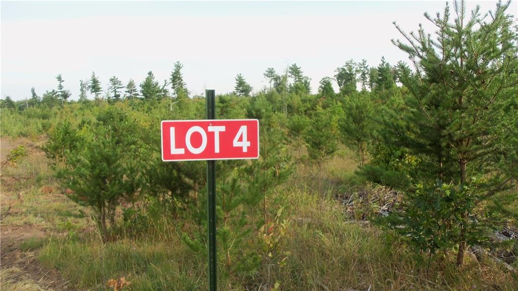 LOT 4 HIGH RIDGE TRL, Webster, WI