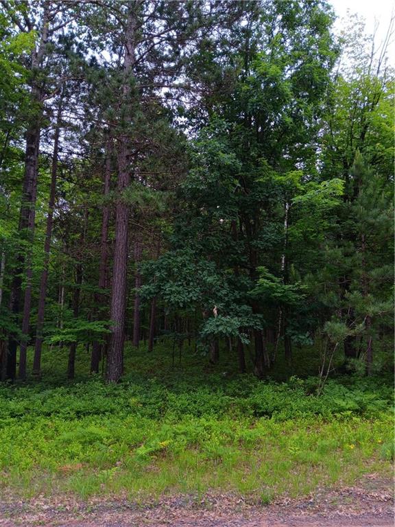 Lot 31 Great Bear Passage, Danbury, WI