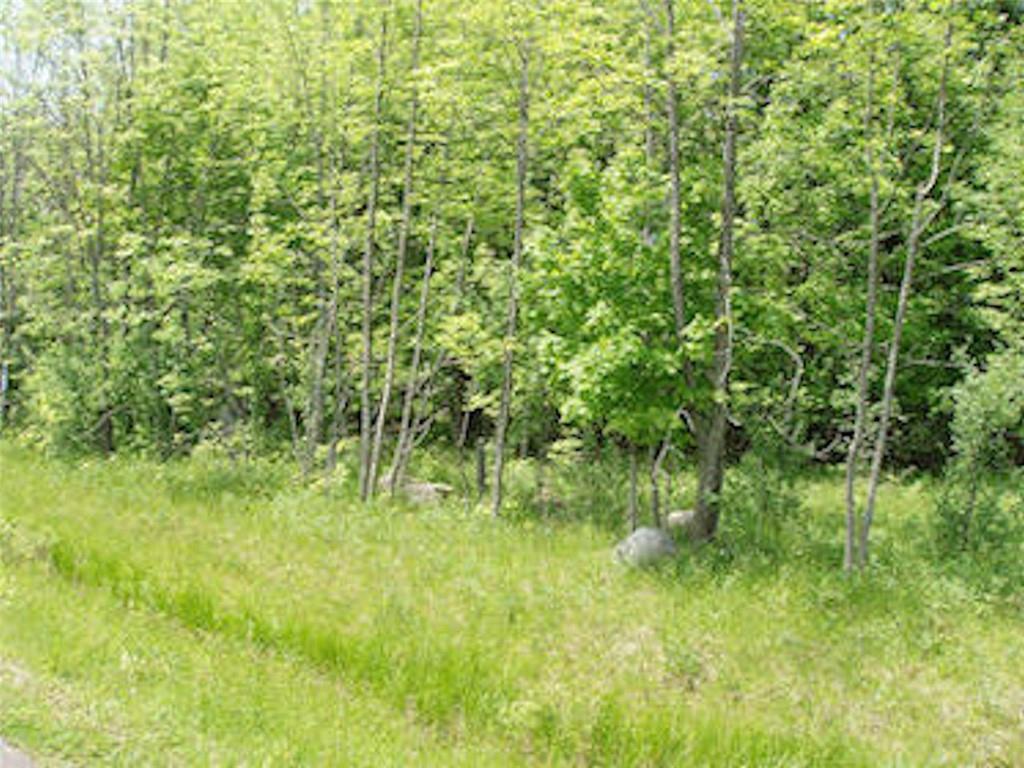 Lot 13 On Margaret Lane, Park Falls, WI