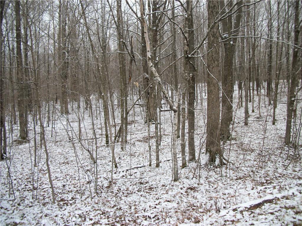 Lot #96 WOODS Avenue, Birchwood, WI