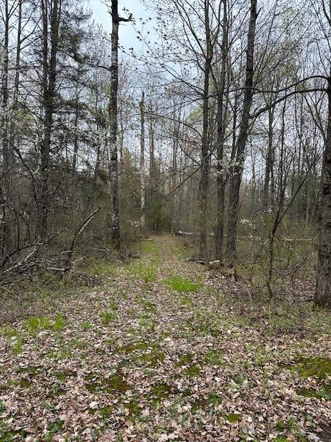 Off of Cricket Lane, Winter, WI