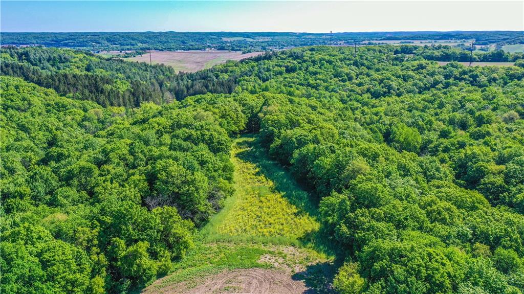 N29724 Brekke Ridge Rd , Blair, WI