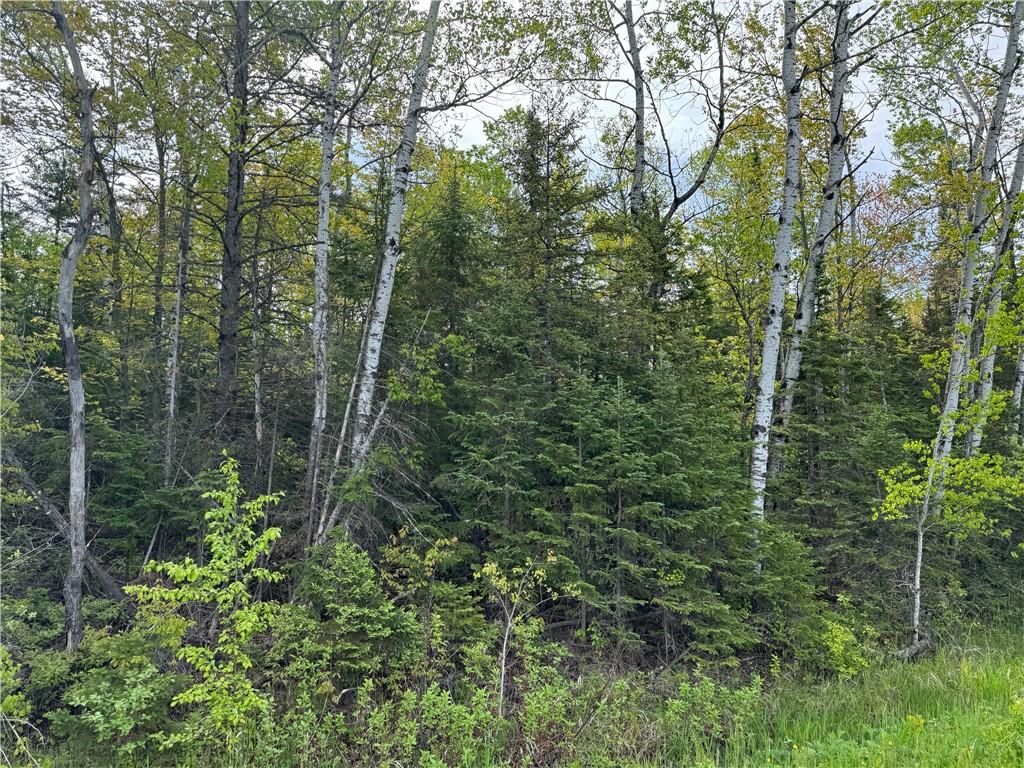 5.56 acres on Evergreen Road, Port Wing, WI