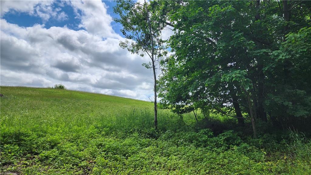 Lot 10 270th Street , Boyceville, WI