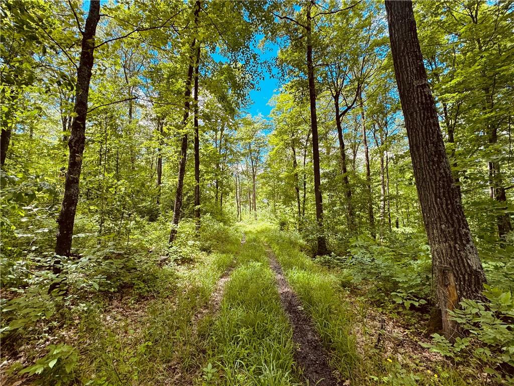  Breakneck Road , Birchwood, WI