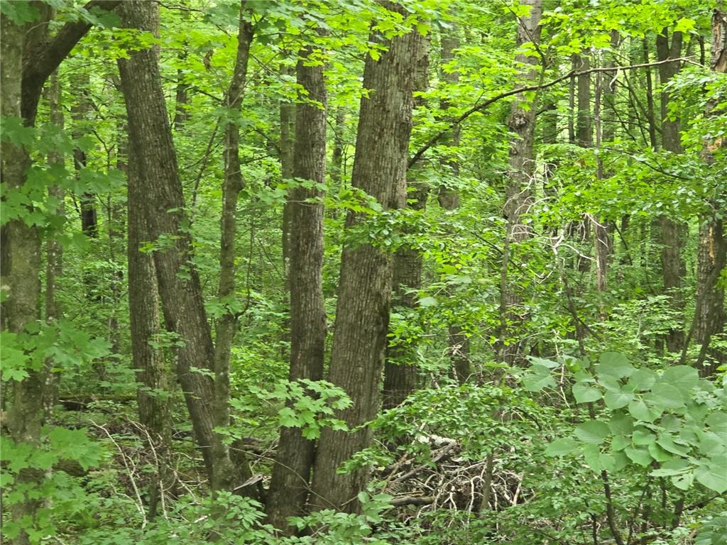 N/A Sunnyside Road , Jump River, WI