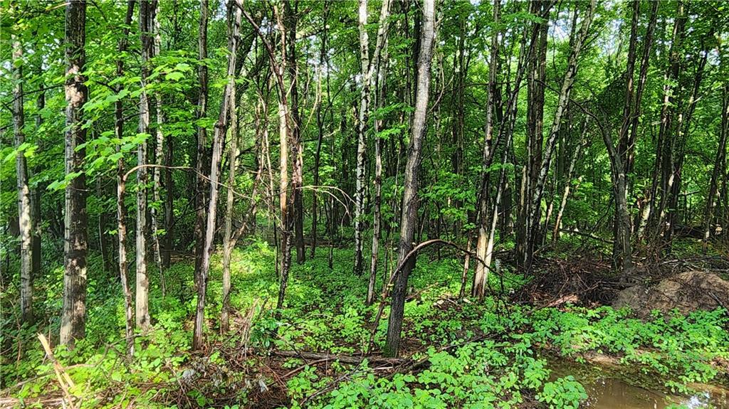 Lot 1 (10.64 Acres) County Road M , Elk Mound, WI