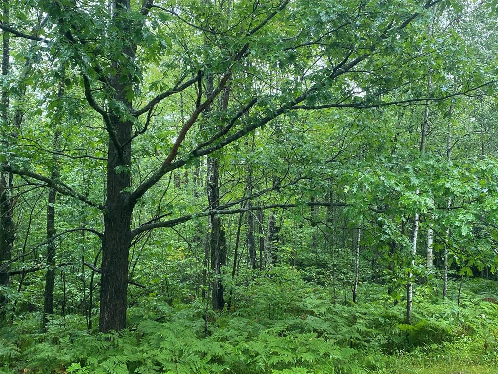 ON Pennington Road , Prentice, WI