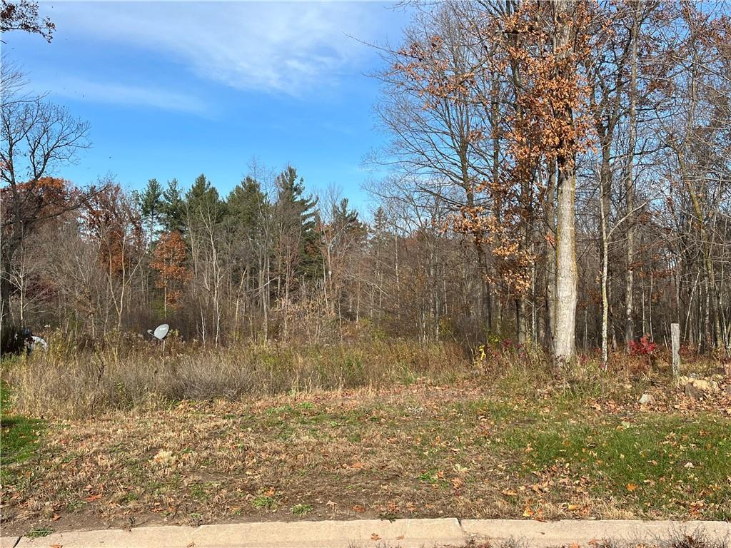 LOT 14 Wilderness Hills Lane, Luck, WI